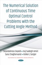 Numerical Solution of Continuous Time Optimal Control Problems with the Cutting Angle Method