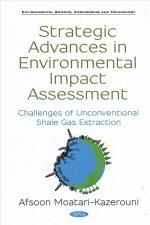 Strategic Advances in Environmental Impact Assessment