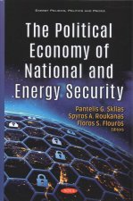 Political Economy of National and Energy Security