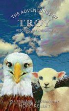 Adventures of Troy Rescuing Lily the Lamb