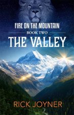 The Valley, Volume 2: Fire on the Mountain Series