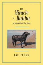 Miracle of Bubba