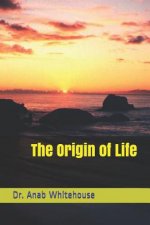 The Origin of Life