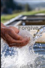 Forgive