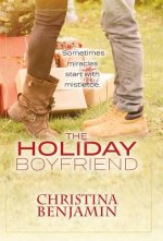 Holiday Boyfriend