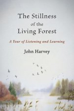 Stillness of the Living Forest