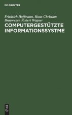 Computergestutzte Informationssystme