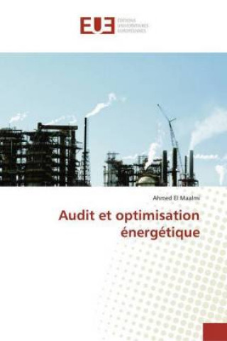 Audit et optimisation énergétique