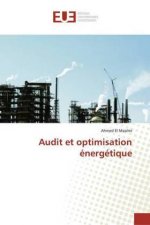 Audit et optimisation énergétique