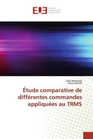 Étude comparative de différentes commandes appliquées au TRMS