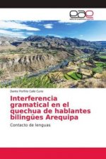 Interferencia gramatical en el quechua de hablantes bilingües Arequipa