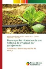 Desempenho hidraulico de um sistema de irrigacao por gotejamento