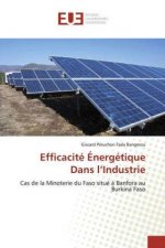 Efficacité Énergétique Dans l'Industrie