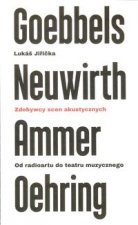 Zdobywcy scen akustycznych Od radioartu do teatru muzycznego