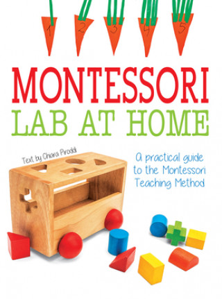 Montessori Lab at Home