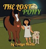 lost pony