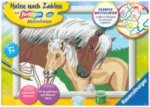 Liebevolle Stute Malen nach Zahlen Serie E