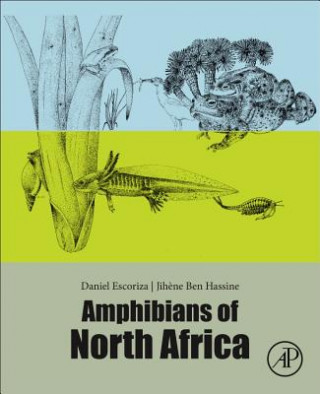 Amphibians of North Africa