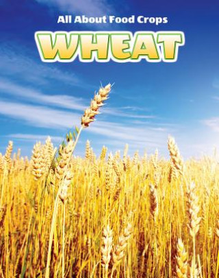 Wheat
