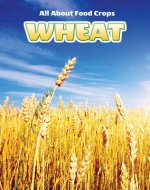 Wheat
