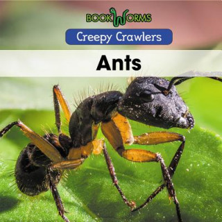 Ants