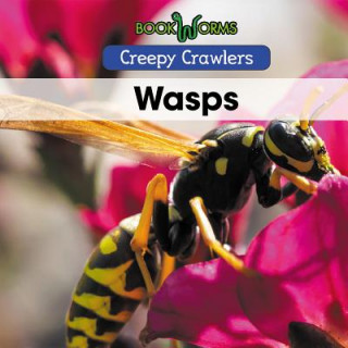 Wasps