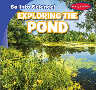 Exploring the Pond