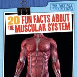 20 Fun Facts about the Muscular System