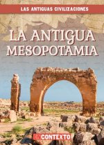 La Antigua Mesopotamia (Ancient Mesopotamia)