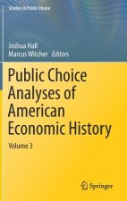 Public Choice Analyses of American Economic History