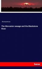 The Worcester sewage and the Blackstone River