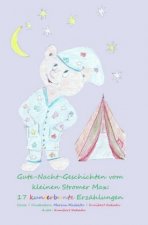 Gute-Nacht-Geschichten vom kleinen Stromer Max: 17 kunterbunte Erzählungen