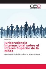 Jurisprudencia Internacional sobre el Interes Superior de la Ninez