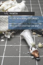 Irretrievably Broken: What Can Ruin a Marriage and Why!