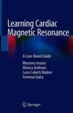 Learning Cardiac Magnetic Resonance