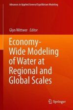 Economy-Wide Modeling of Water at Regional and Global Scales