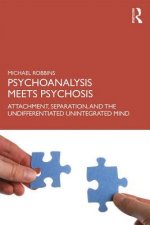 Psychoanalysis Meets Psychosis