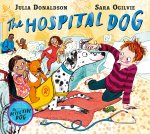 Hospital Dog