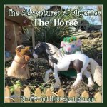 The Adventures of Amerina: The Horse