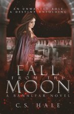 Fall From the Moon