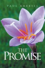 Promise