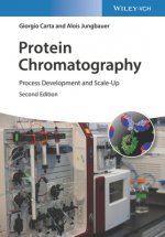 Protein Chromatography - Process Development and Scale-Up 2e