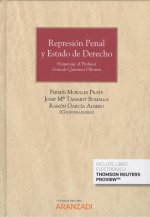 REPRESIÓN PENAL Y ESTADO DE DERECHO