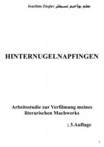 Hinternugelnapfingen Arbeitsstudie zur Verfilmung meines literarischen Machwerks; 3.Auflage