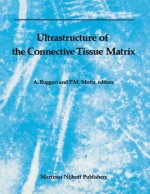 Ultrastructure of the Connective Tissue Matrix
