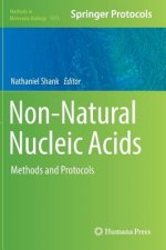 Non-Natural Nucleic Acids