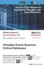 Virtualize Oracle Business Critical Databases: Database Infrastructure as a Service