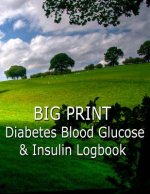 Big Print Diabetes Blood Sugar and Insulin Log