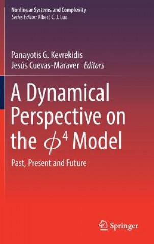 Dynamical Perspective on the  4  Model