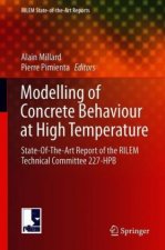 Modelling of Concrete Behaviour at High Temperature